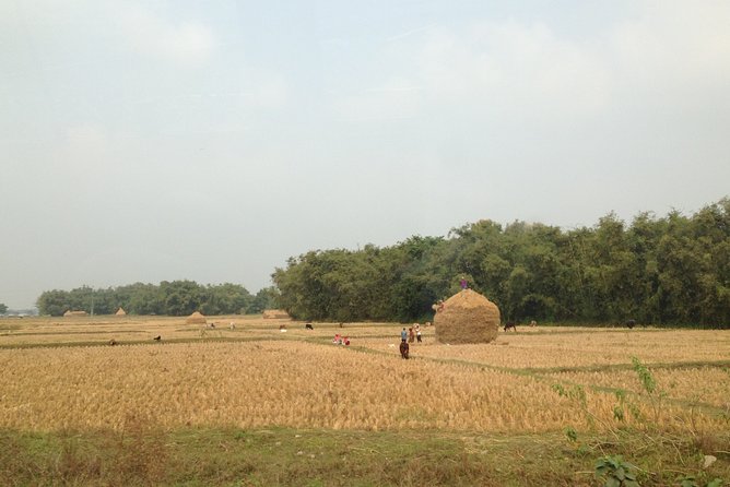 5-Day Private Farming Experience in Nayapul With Accommodation - Good To Know