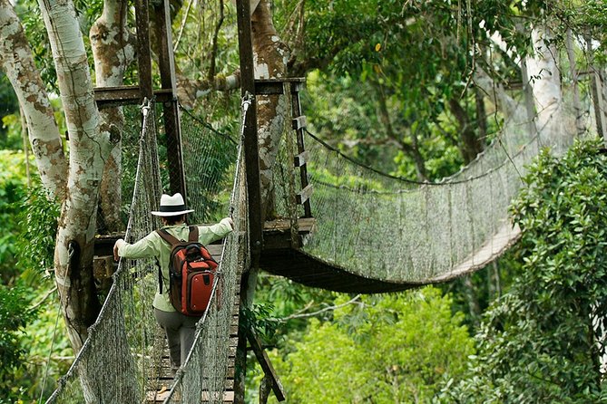 5-Day Tambopata National Reserve Tour of the Peruvian Amazon - Puerto Maldonado