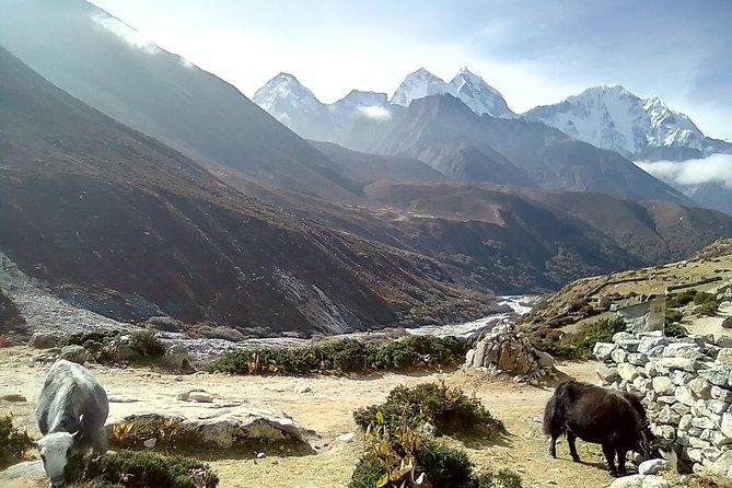 5 Days Amazing Everest View Trek From Kathmandu - Good To Know