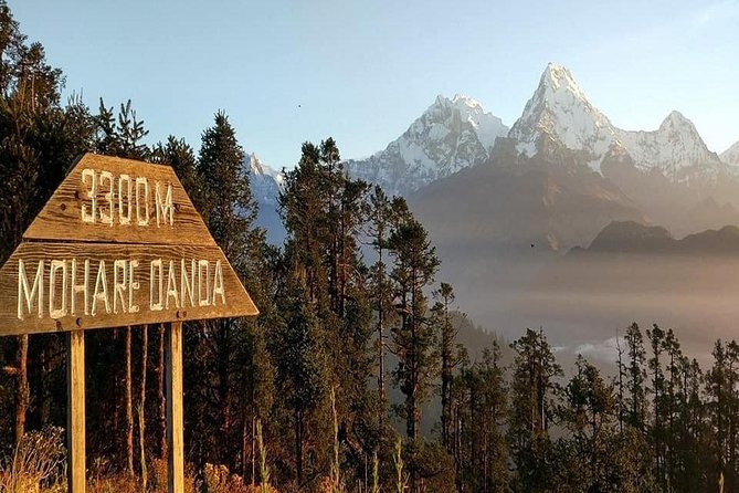 5 Days Amazing Mohare Danda Trek From Pokhara - Good To Know