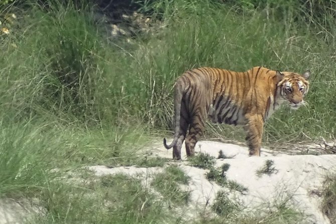 5 Days Bardia National Park Tour With Palpa Overnight Stay - Good To Know