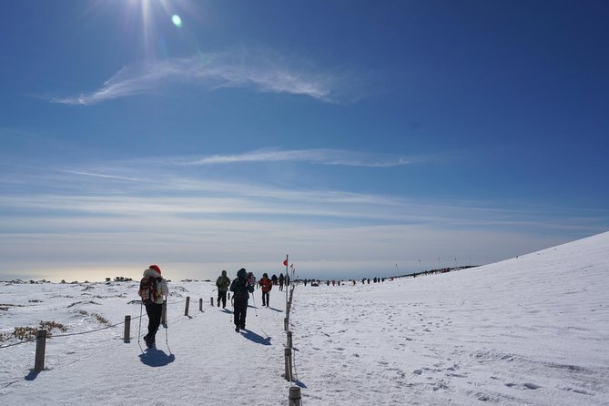 [5-Days Jeju] Private Customized Hiking(Hallasan & Olle Course) With Mountaineer
