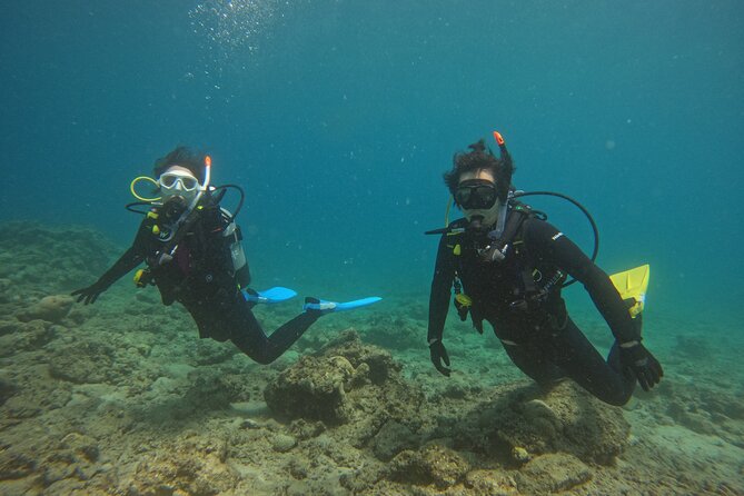 5 Hour Beginners Diving Course Experience in Amami Island