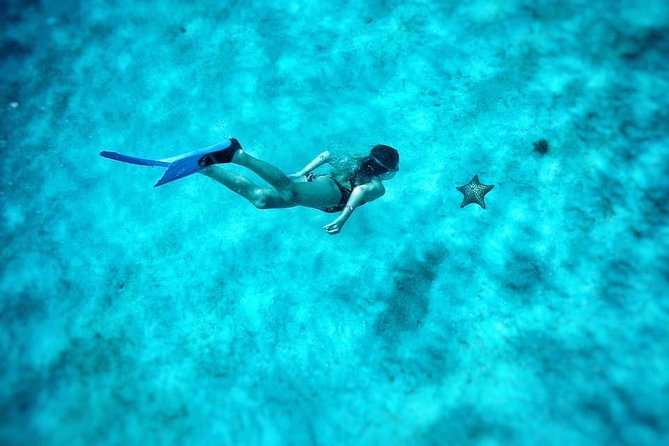 5-Hour Small-Group Catamaran Cruise From Bridgetown With Lunch - Pickup and Departure Details