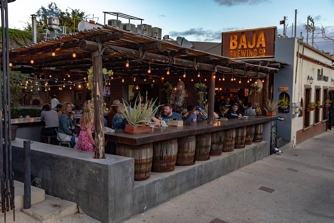 5 Hours Art Walk Experience in Cabo - Good To Know