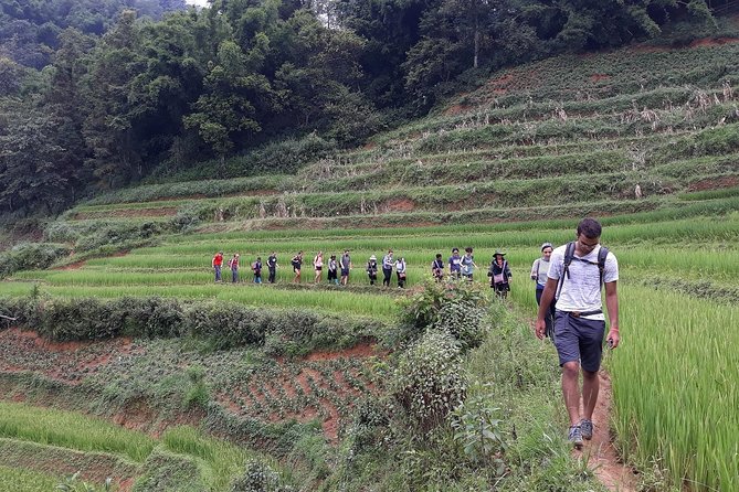 1-Day Authentik Trek & Panorama Valley Views - Terms & Conditions