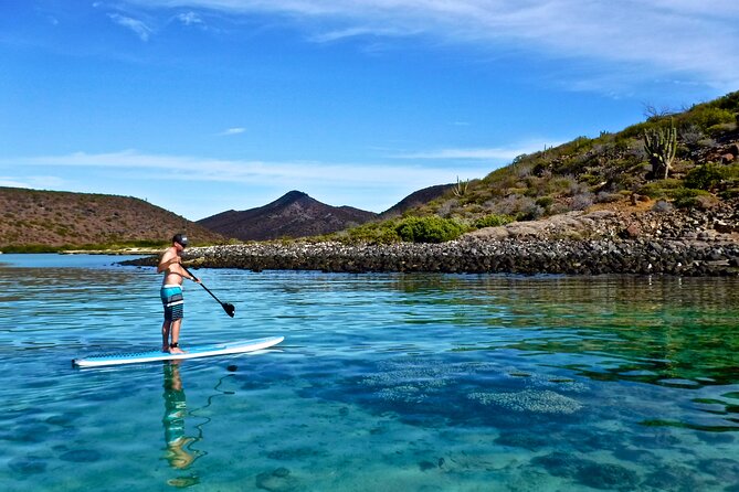 1 Day Espiritu Santo Island Wonders, Sea Lions and Paddleboard Adventure - Additional Information