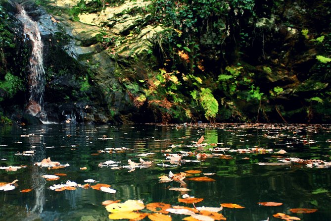 1 Day Excursion Nature and Archeology Bulla Regia and Beni Mtir From Tunis - Reviews and Recommendations