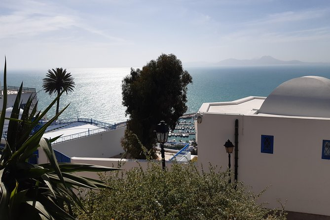1 Day Excursion Tunis Carthage and Sidi Bousaid From Hammamet - Charming Sidi Bou Said