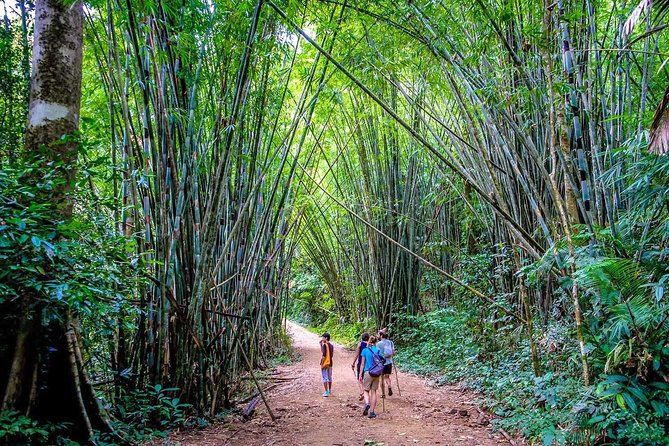 1 Day Khao Sok Jungle Safari and 2 Days Cheow Lan Lake Explorer From Krabi - Cancellation Policy