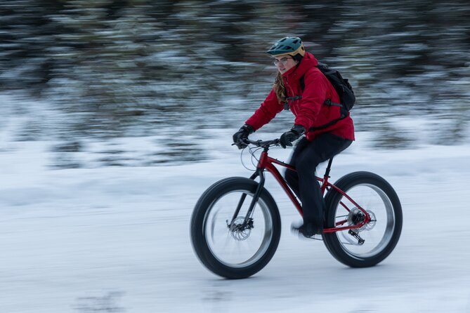 1-Hour Guided Group Fat Bike Tour - Directions