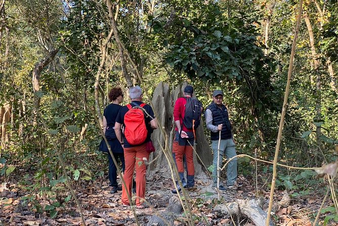 1 Night 2 Days Chitwan Jungle Safari Tour From Kathmandu - Common Questions