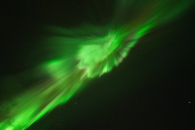 #1 Northern Lights Tour in Iceland From Reykjavik With PRO Photos - Tour Reviews
