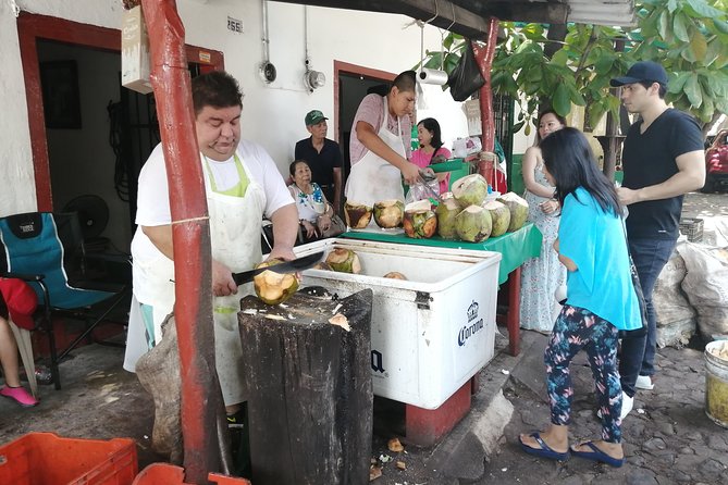 1 to 6 Passengers Vallarta Private City Tour - Common Questions