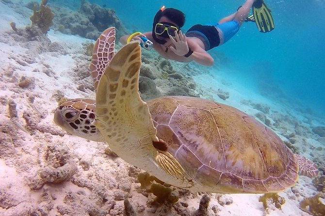 100% Private Snorkel & Sail Charter on Bonaire by Solobon Sailing - The Sum Up
