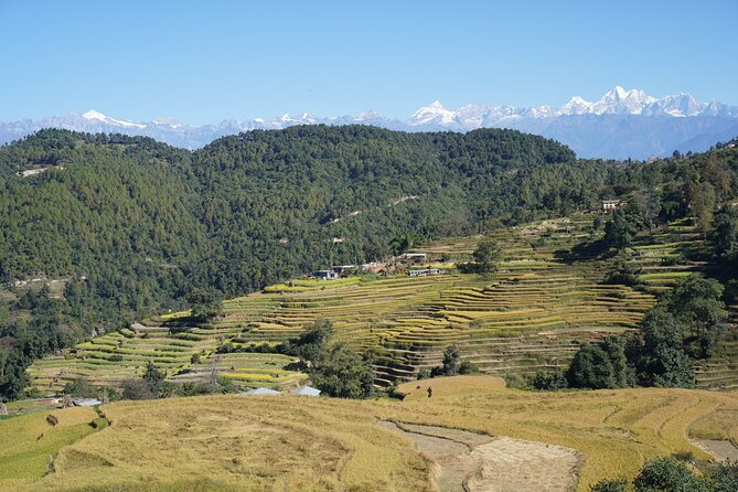 11-Day Private Guided Local Tour in Nepal - Day 4: Drive to Bandipur Hill Station