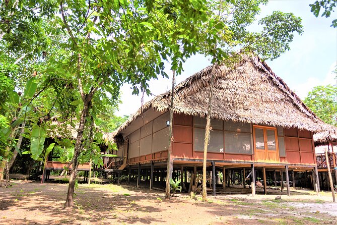 2-Day Amazon Jungle Tour at Avatar Amazon Lodge - Lodge Accommodations