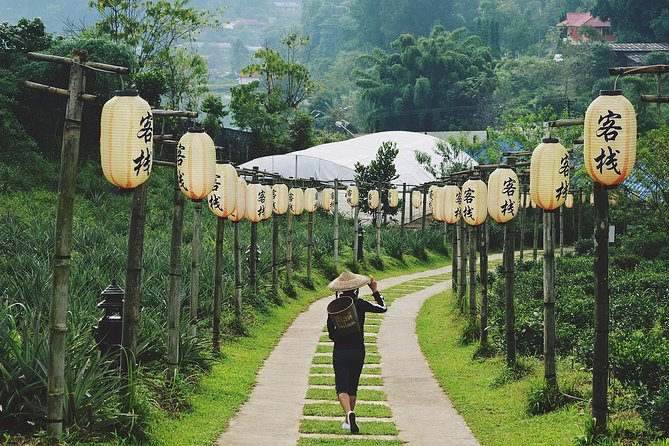 2-Day Chiang Mai - Trekking in Mae Kampong Village - The Sum Up