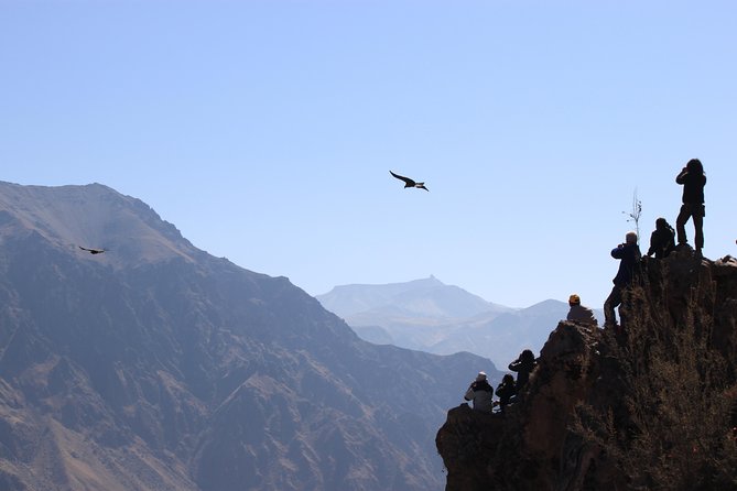 2 Day Colca Canyon, Vicuna Reserve and Condors From Arequipa - Additional Information