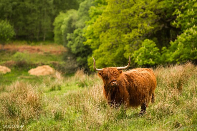 2-Day Highlands and Loch Ness Tour From Edinburgh - Traveler Information and Check-in Process
