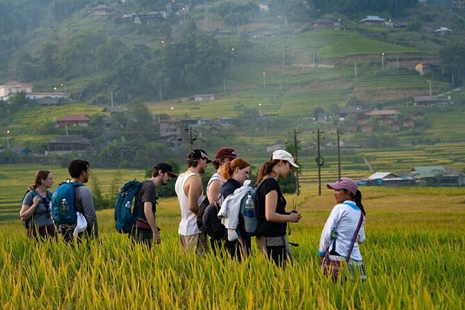 2-Day SAPA Trekking - Villages-Homestay-Ethnic-Local Food-Market - Scenic Landscapes