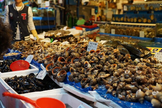 2-Day Tour-The Best of South Korea - Common Questions