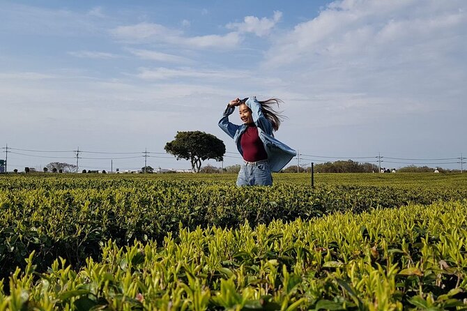 2-Day Tour to Jeju Island by Limousine Taxi - Questions and Additional Information