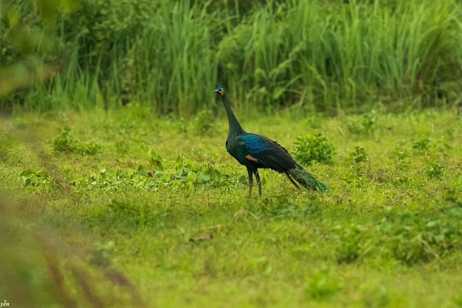 2-Day Trekking & Biking Nam Cat Tien National Park From HCM City - Pickup Details and Cancellation Policy