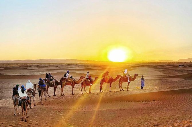 2 Days 1 Night To Zagora Desert Tour From Marrakech - The Sum Up