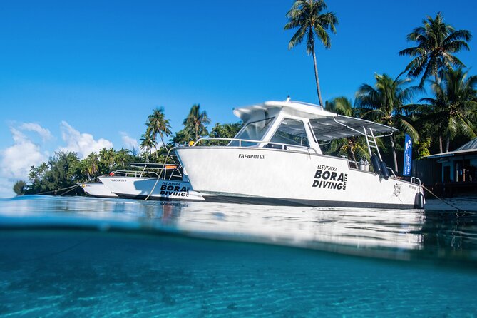 2 Dives in the Morning for Certified Divers in Bora Bora - Customer Reviews and Testimonials