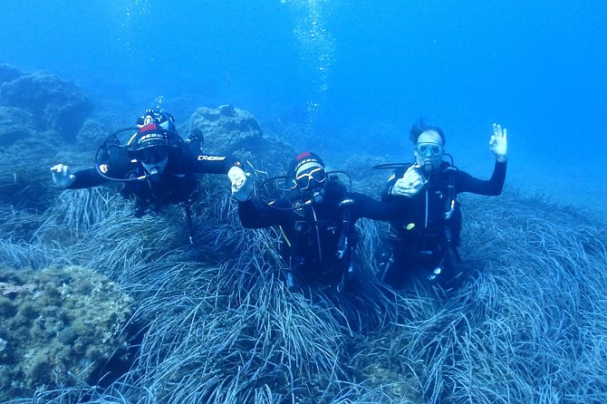 2 Dives Package - Lowest Price Guarantee