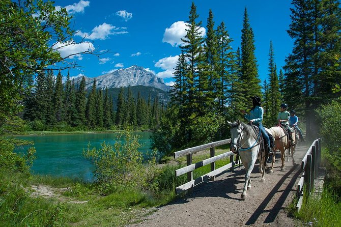 2 Hour Banff Horseback Riding Adventure - Customer Reviews and Experiences