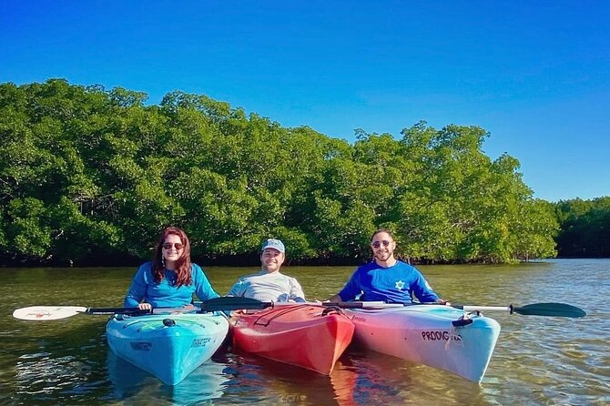 2 Hour Guided Kayak Tour in Boca Ciega Bay - St. Pete - The Sum Up