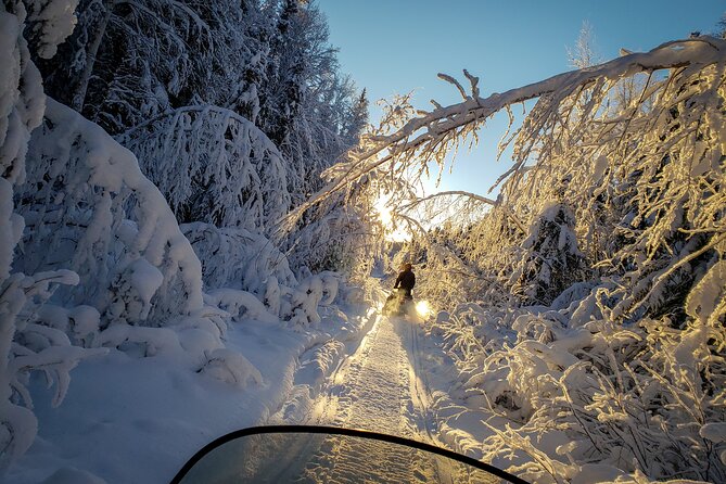 2-Hour Guided Snowmobile Tour in Fairbanks - Snowmobiles Provided