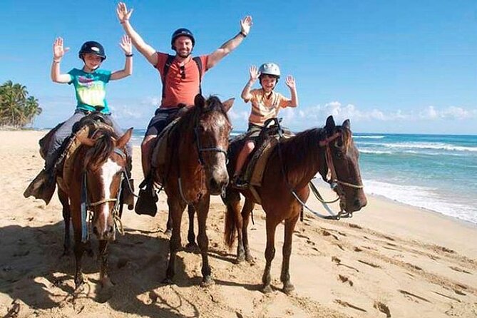 2 Hour Horseback Riding on the Beaches of Punta Cana - How to Book and Important Considerations