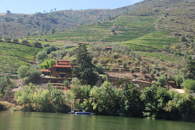 2-Hour Rabelo Boat Tour in Pinhão - Positive Feedback From Customers