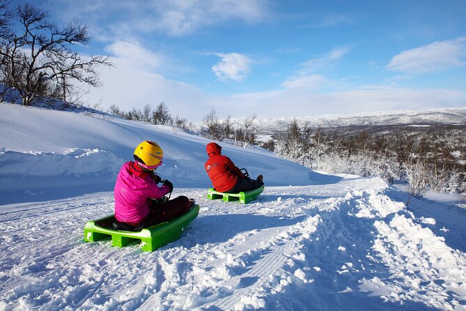 2-Hour Racing Toboggan at Dagali Fjellpark Near Geilo in Norway - How to Book and Prepare for the Racing Toboggan Experience