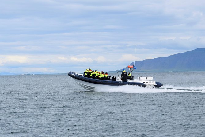 2-Hour RIB Boat Whale Watching Tour From Reykjavik - Directions
