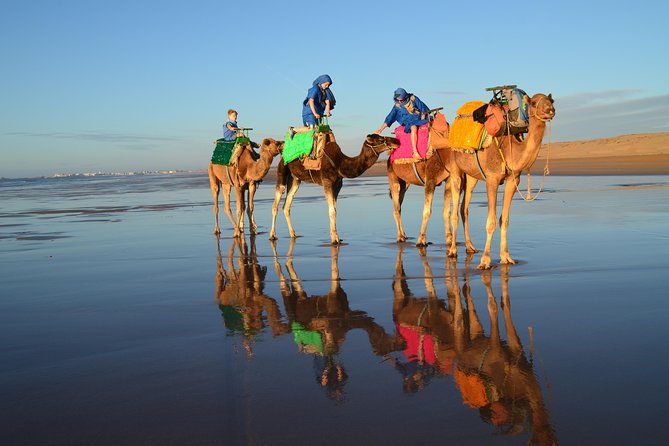 2-Hour Walks to Discover Essaouira - Additional Information