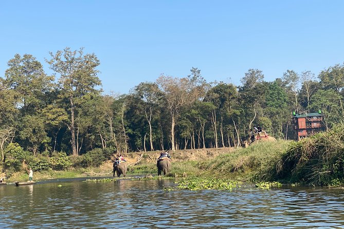 2 Nights 3 Days Chitwan Jungle Safari Tour - Packing List and Tips