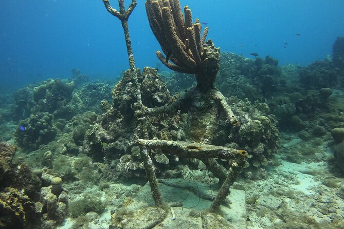 2 Tank Guided Shore Dive - Meeting Point and Pickup Options