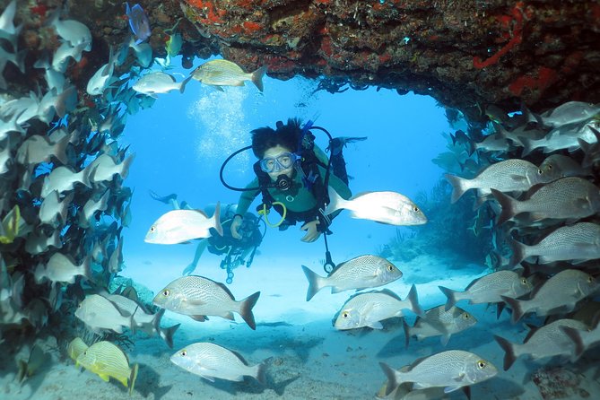 2-Tank Morning or Afternoon Dives in Playa Del Carmen Certified Divers Only - Safety Guidelines and Requirements