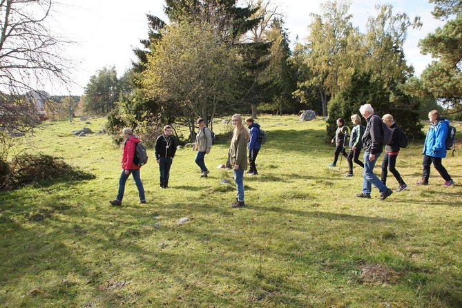 3-4h Viking History Short Day Tour From Stockholm - Overall Experience