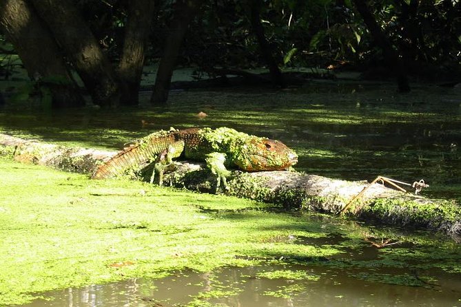 3-Day Amazon Jungle Adventure From Iquitos - Contact Information