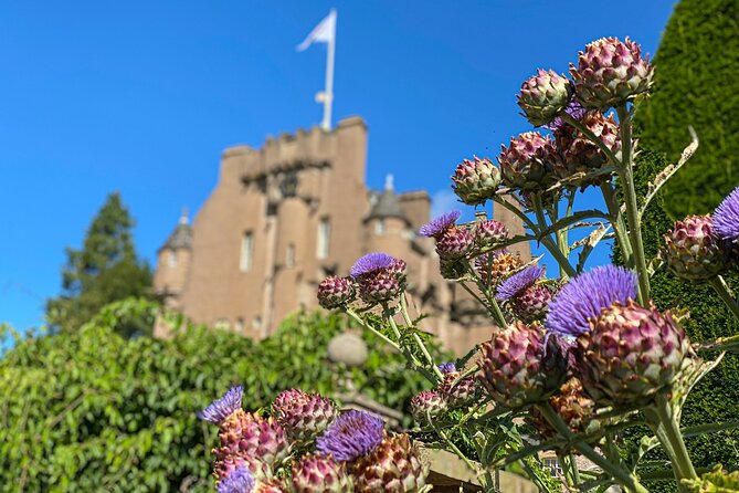 3-Day Edinburgh St Andrews Aberdeen Highlands (Cows) Inverness Private Tour - Contact Information