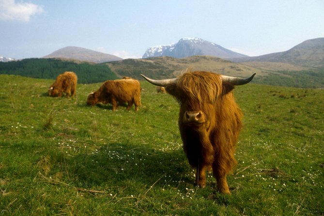 3-Day Isle of Skye and Scottish Highlands Tour Including "Hogwarts Express" Ride - Overall Experience