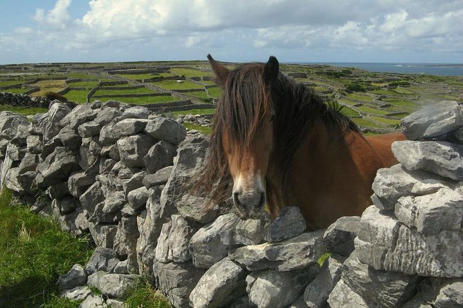 3-Day Southern Ireland Tour Including Galway and Kerry From Dublin - The Sum Up