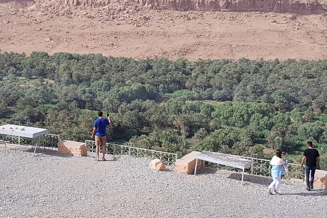 3 Days 2 Nights Desert Tour From Fes to Marrakech via Erg Chebbi - Transportation and Guides