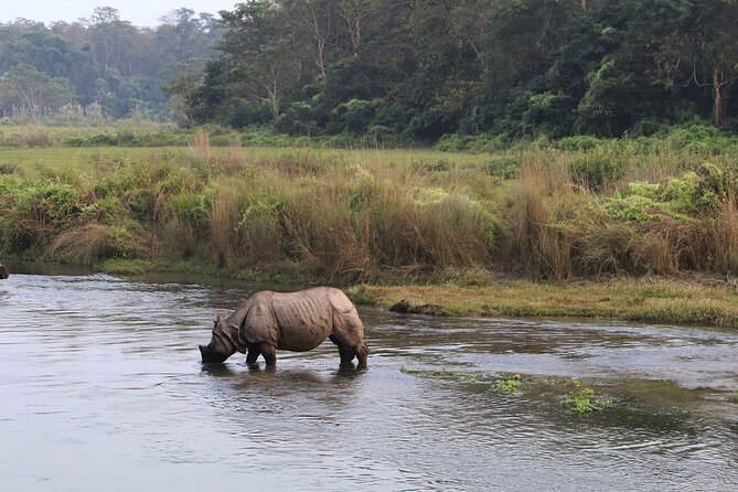 3 Days and 2 Nights Chitwan National Park Safari Tour in Pokhara - Itinerary Highlights