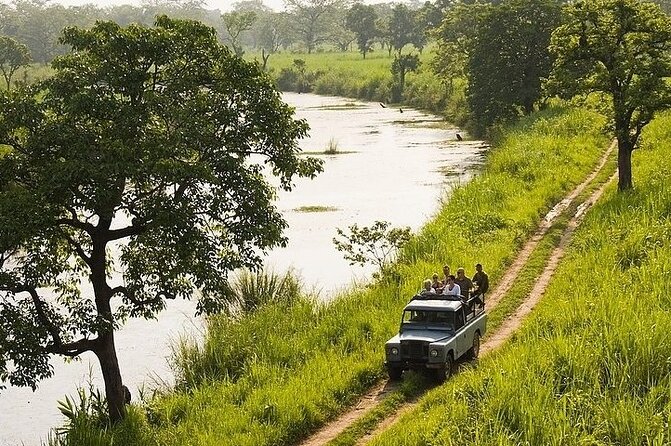 3-Days Tower Night Stay Inside Jungle Tour - Activities and Experiences